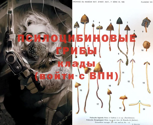 дживик Кодинск