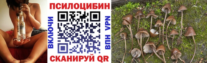 наркошоп  ОМГ ОМГ маркетплейс  Псилоцибиновые грибы Cubensis  Осинники 
